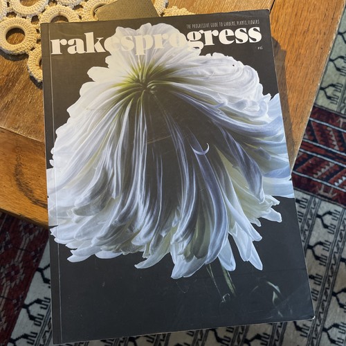 Rakes progress magazine - progress,