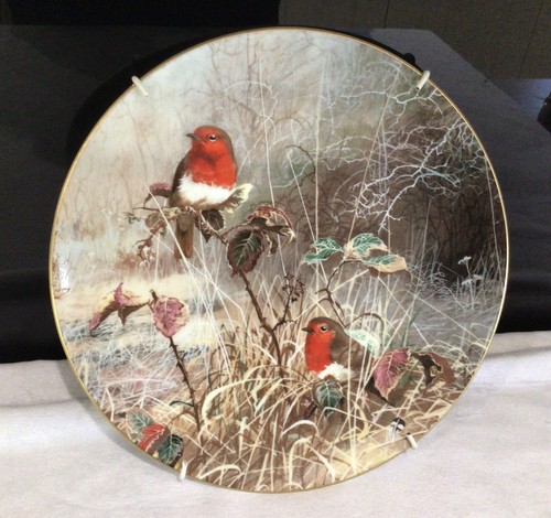 Coalport winter robins - winter,