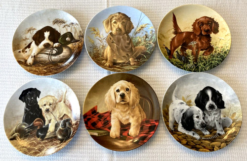 Set ukc field - set, 6
