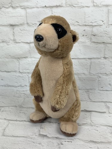 Standing meerkat - standing,