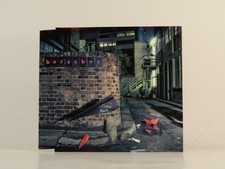 HORSEBOX COME BACK (H1) 2