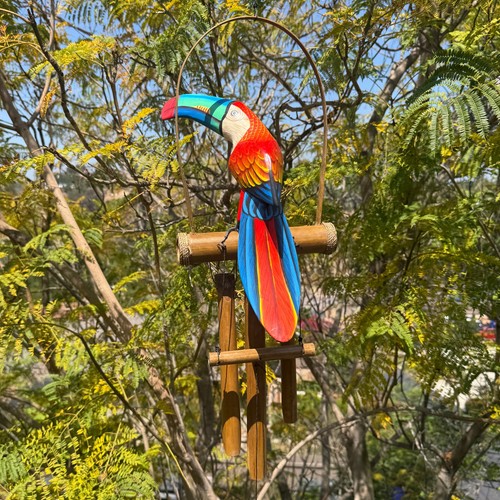 Tropical red toucan wooden - tropical,