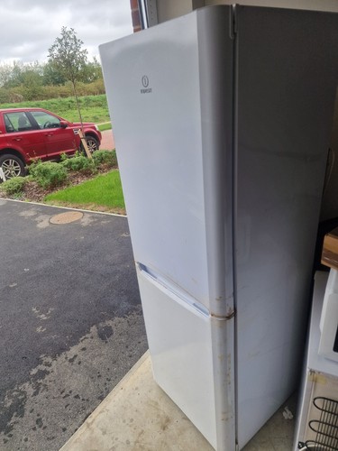 Indesit freestanding fridge - freestanding,