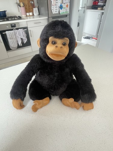 Hosung vintage baby chimp - hosung,
