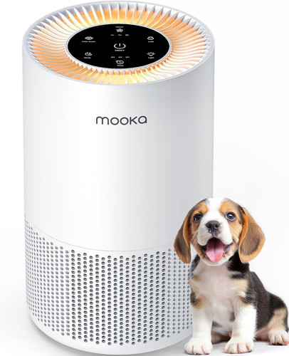 Air purifiers for - purifiers,