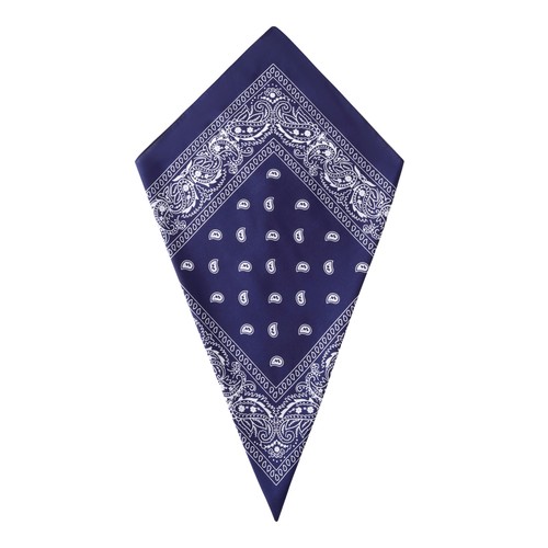 Navy blue paisley bandana - paisley,