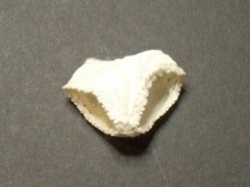 HTF ORIGINAL WHITE PANTS