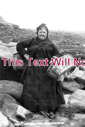 2038 a cullercoats - no,