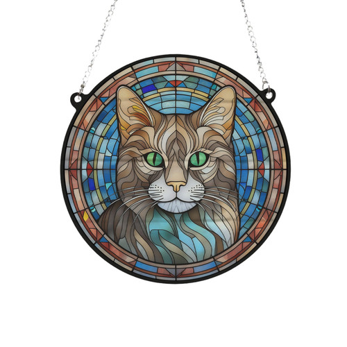 Cat tabby stained - cat,