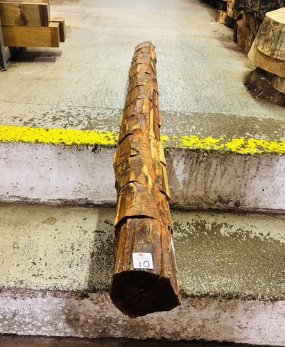 Snakewood aaa grade log - snakewood,