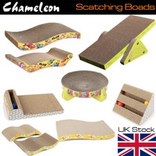 Cat Kitten Corrugated