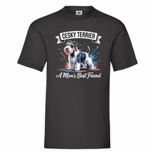 Cesky Terrier A Man's Best