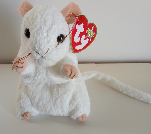 Cheezer the white mouse - white, rat