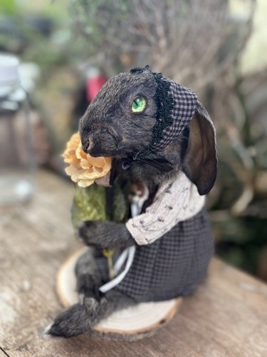 Roadkill baby rabbit taxidermy - baby,