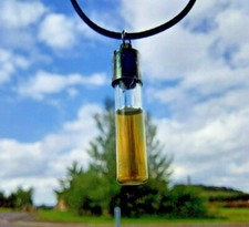 2019 Race used Lewis Hamilton