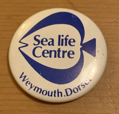 Button badge sea - button,