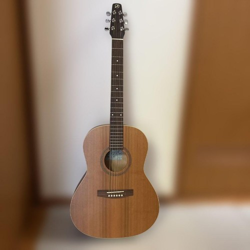 Seagull folk acoustic - seagull, s6
