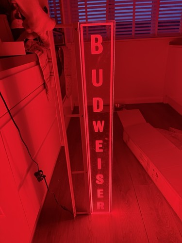 Budweiser large high - budweiser,