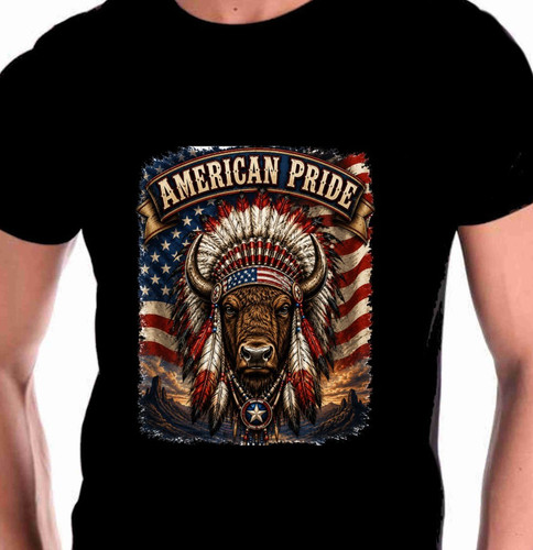 Native indian headdress - native,