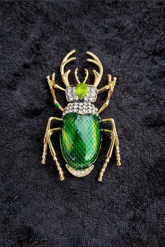 Gold tone green - green, beetle