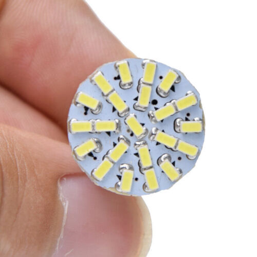 Led bulb 12v - bulb, dc