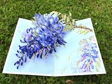 Beautifully Elegant 3D Pop-Up