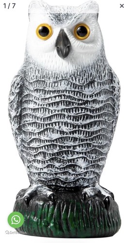 Pigeon deterrent owl decoy to - pigeon,