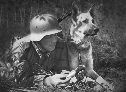 German soldiers with messenger - soldiers,