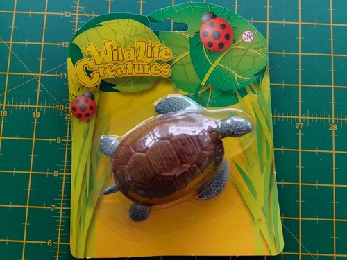 Wild life creatures turtle - creatures,