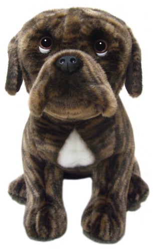 Brindle boxer teddy boxers - 12",