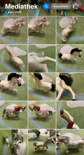 Vintage grand champion - champion, toy