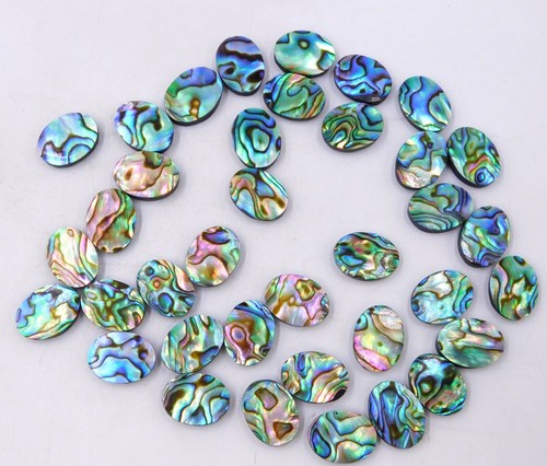 Natural abalone shell oval cab - shell,
