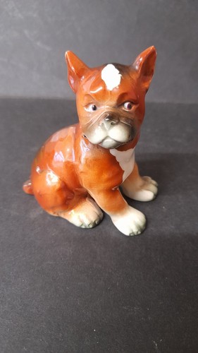 Goebel ch569 boxer - dog, seated