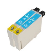 2 Light Cyan Ink Cartridge For