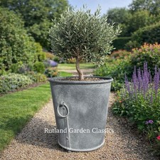 Galvanised  planter  - Zinc