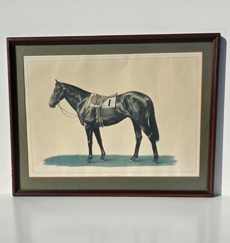 Framed the racehorse - framed, "the