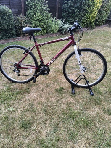 Apollo cosmo older teenager - apollo,