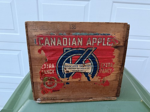 Vintage canadian apples - vintage, ok