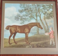 Framed print 60/60 of"Pumpkin