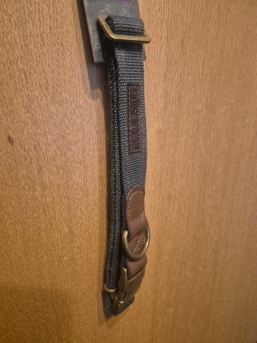 Wainwright leather dog - leather,