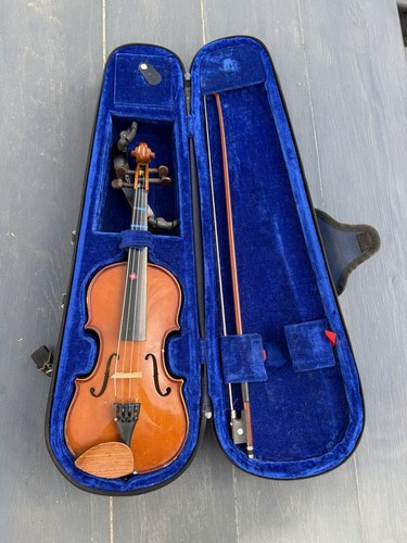 Size stentor student - stentor, 1