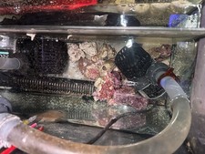 Marine Aquarium Live Rock 1KG