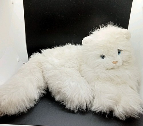 Vintage white persian cat - vintage,