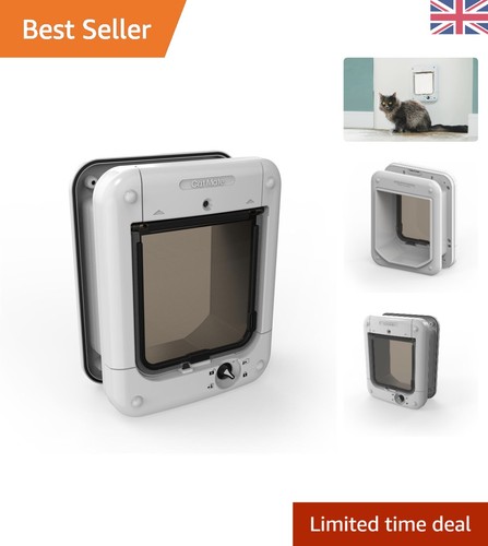 Luxury microchip cat - luxury,