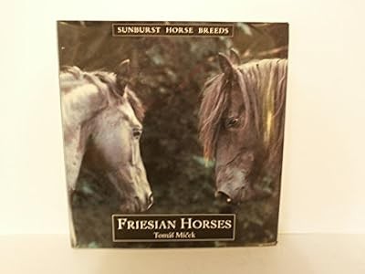 Friesian horses sunburst - friesian,
