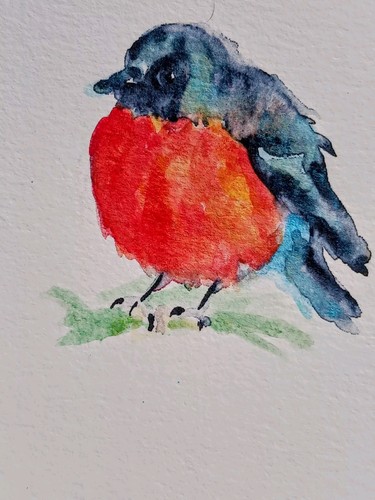 Christmas robin bird art - christmas,
