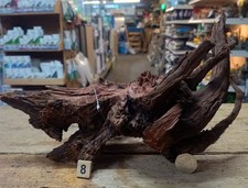 Med/Large Ancient Root  Wood