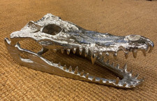 Silver Crocodile skull Cast