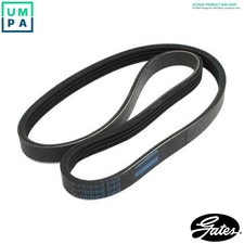 VRIBBED BELT 8PK1392HD FOR