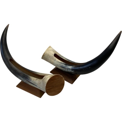 Vintage decorative bull horn - bull,
